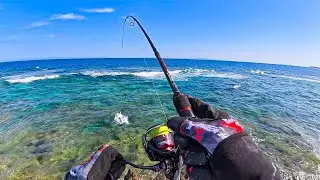 Full Day Solo Cliff Fishing On Remote Reef Island