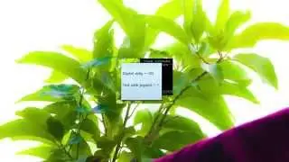 Magic Lantern RAW Video Menu 650D 06072013 Alpha