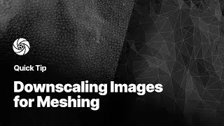 Downscaling Images for Meshing | Reality Capture Quick Tip