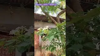 15 laks only | khammam real estate | Rajesh Gudepu | property | house | sale | low price