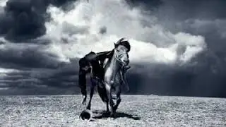 AŞIK REYHANİ SENEM İLE HÜSEYİN HİKAYESİ SON KISIM BABA NERDEN ALDIN SEN BU GELİNİ