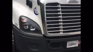 A GRADE HORN in new York America 9278553526
