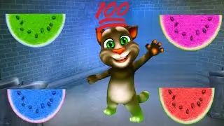talking Tom Billu quarter million water funny video ||#svkbillu #mkbillu || @mkbillu