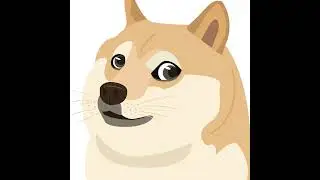 Doge Gaming Live Stream