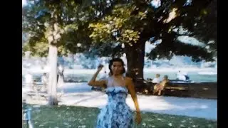 A 1950's Family Picnic in New York Vintage Video Footage
