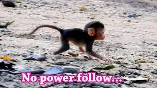 NO...SAY NO POWER FOLLOW MY MOM !! Small baby REX follow till tired call mom stop here.
