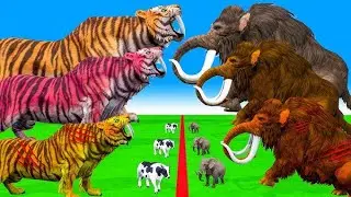 Wild Animals Battle Protect Territory | Great Battle Of Gorilla And Leopard To Prove Who Owns Jungle
