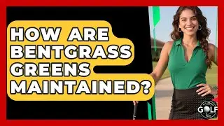 How Are Bentgrass Greens Maintained? - All About Golf Pros