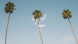 Marian Herzog, Modshape - Trapped in Time (Sascha Braemer Remix)