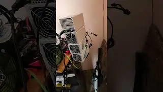 4 pc minis  #goldshell #lbry  #hns #cryptocurrency #mining