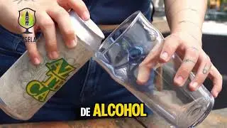 Azteca de cervecer&iacute;a Rey &Aacute;rbol