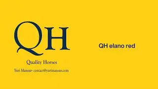 QH Elano Red- Basel