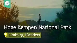 Discover Hoge Kempen National Park | Find Nature in Flanders | Discover Limburg 🌲