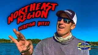 TOP Fishing Tips and Reports from St. Augustine, Florida