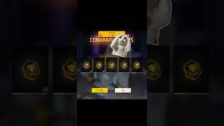 #teamcrazyy