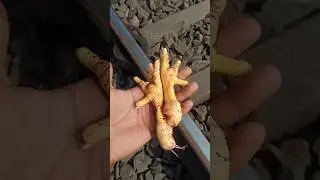 Train vs Chicken leg#shorts