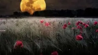 Best Relaxing Meditation Music