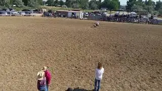 Silas successfully rides the sheep at Cowley Days rodeo.  22 July 2017