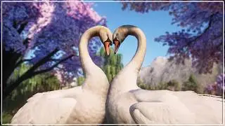 Can I Build a Successful Franchise Zoo in Just 1 Hour? | Planet Zoo Challenge