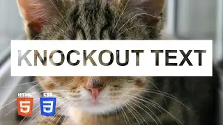 Knockout Text Effect | HTML & CSS Tutorial