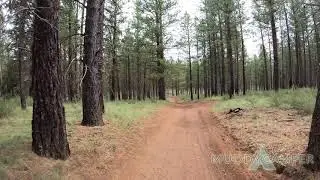 Jack Creek to Canyon Creek Dispersed Camping Drive Through