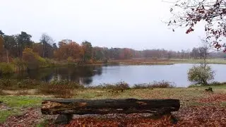 1737 Rijen (Noord-Brabant) 12,2 km