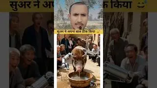 Pig ne apna hairstyle banaya 😅🐖 | Funny Pig Video | Cute Animal Comedy | Hilarious Moments