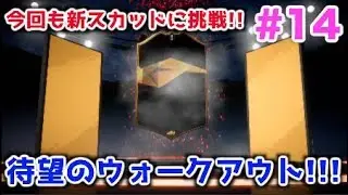 【コハロン協力 FUT #14】神引き?!待望のウォークアウト!!【チャンピオンになる男】