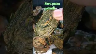 saru patra pakudi 🥰😋🤗#food #cooking #cookingfood #recipe