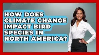 How Does Climate Change Impact Bird Species in North America? | Bird Watching Diaries