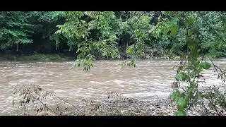Real Life | Ambient: River Side (No Music 1h)
