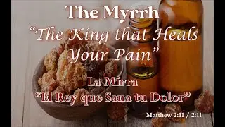 The Myrrh &ldquo;The King that Heals Your Pain&rdquo; | Pastor Alan Reynolds | 12.21.25