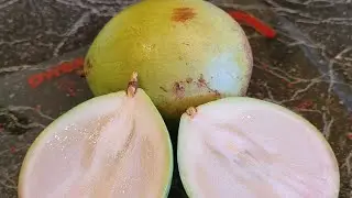 CAIMITO | TAR APPLE | STAR APPLE SWEET & JUICY  #SHORTS