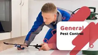 Pest Control Business intro
