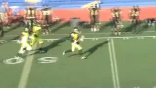 Delta Ducks vs Capital City Fury 2014 Full HL Reel