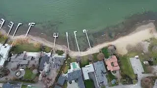 Suburbia