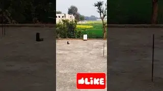 Day 6 shoot Practice mission Olympic gold 🥇🥇🥇🥇🥇🥇🥇🥇🇮🇳🇮🇳🇮🇳🇮🇳🇮🇳🇮🇳🇮🇳🎯🎯🎯🎯🎯🎯🎯🎯🙏🙏🙏🙏🙏🙏🙏🙏 #cricket