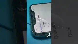 Clean ear speaker