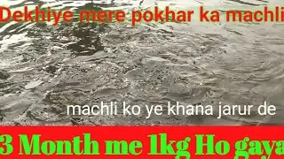 Bahut bara machli ho gaya#machli ka khana
