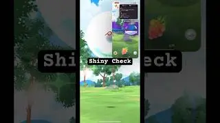 Shiny Check #pokemongo #pokemongocommunity #pokemongofan #fypyoutube #fypyt #fypage #fyp