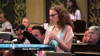 Rep. Ellen Cogen Lipton speaks on the Dissolution of Financially Distressed School Districts