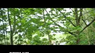 BURNING ALMS - THE PERIPHERY