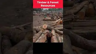 Natural Resources of Congo