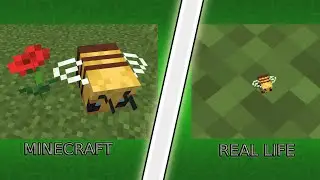 А что, если бы мобы Minecraft были настоящего размера?