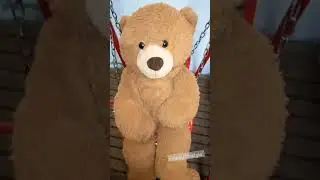🧸 teddybear 🐻#viral #teddy #shorts #teddyday #trending #teddybear #mashaandthebear #innovativeink