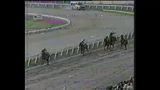 albion park last meeting