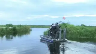 Florida's alligator hunting season begins