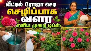 Garden life# gardening community#Garden life#viral#trending #gardening #Tamil#rose plant