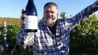 INTENSE Hinterbrook 2017 Cabernet Franc (Limited Release) - Ontario Wine