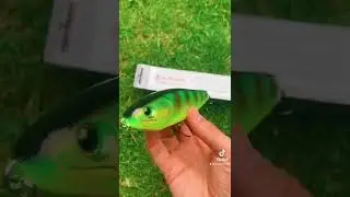 Wicked Willy Jerkbait pike fishing lure 🎣😍#pike #pikefishing #lmab #fishing #troutfishing #carp